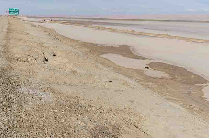 81 - Tunez - Chott el Djerid - lago salado